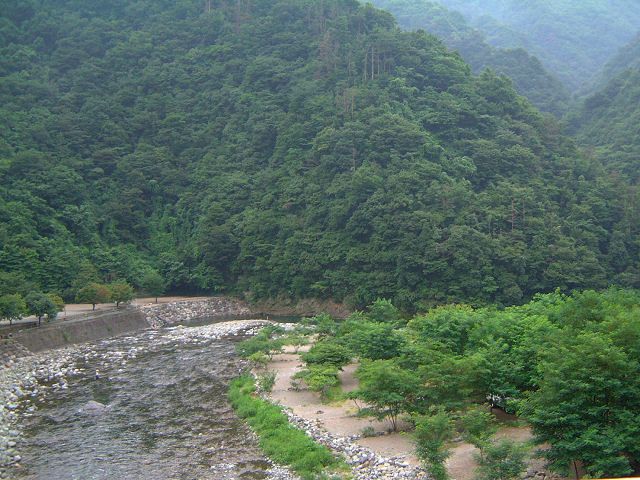 道志川の渓流風景